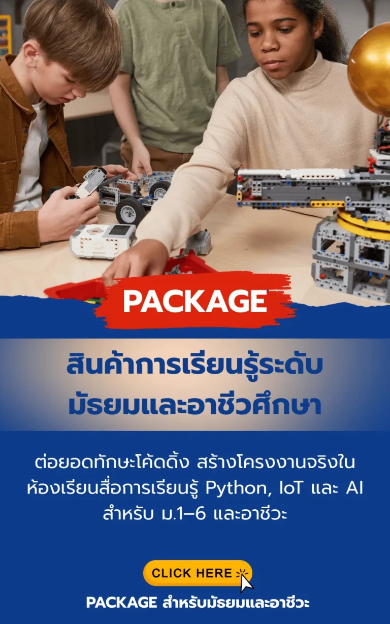 สินค้าการเรียนรู้ ระดับ มัธยม,อาชีวศึกษา